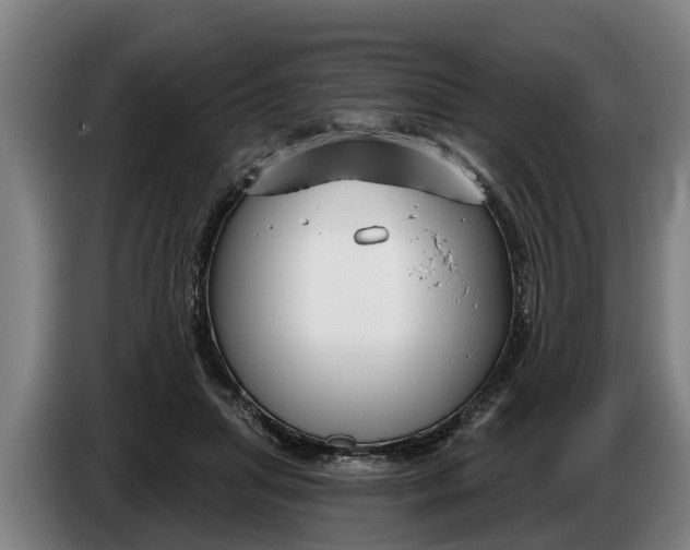 X0000086320455200704202025