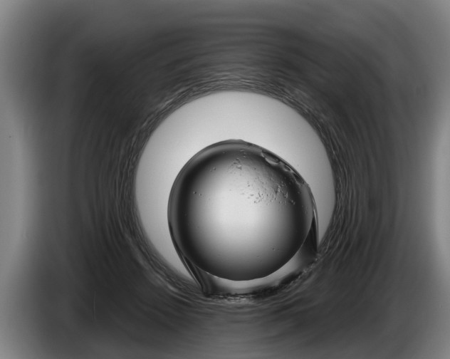 X0000086320456200704202025