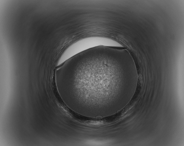 X0000086320458200704202025