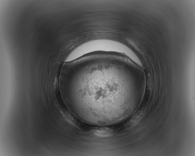 X0000086320459200704202025