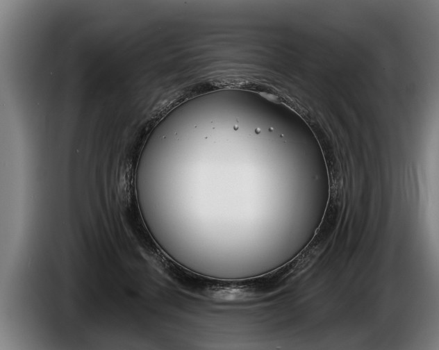 X0000086320460200704202025