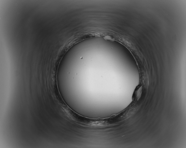 X0000086320461200704202025