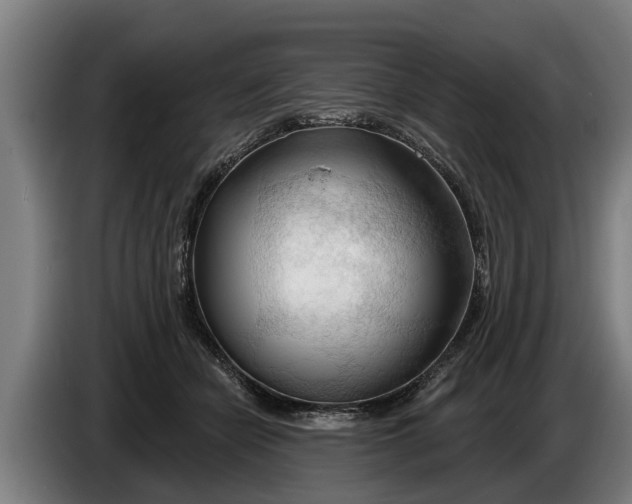 X0000086320462200704202025