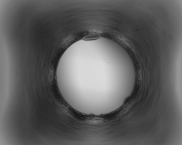 X0000086320463200704202025