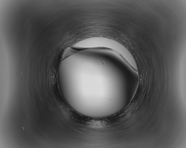 X0000086320464200704202025