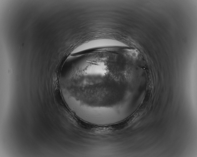 X0000086320465200704202025