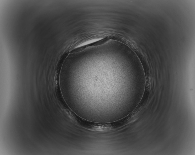 X0000086320466200704202025