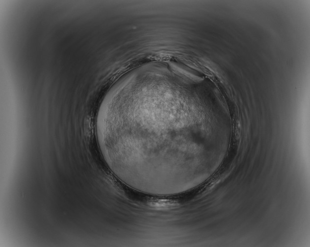 X0000086320467200704202025