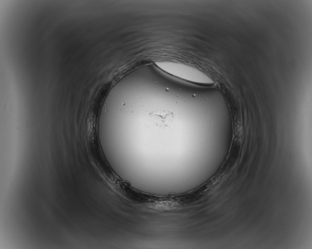 X0000086320468200704202025