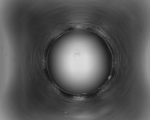 X0000086320469200704202025