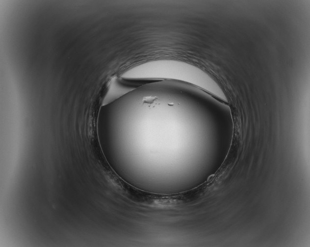 X0000086320470200704202025