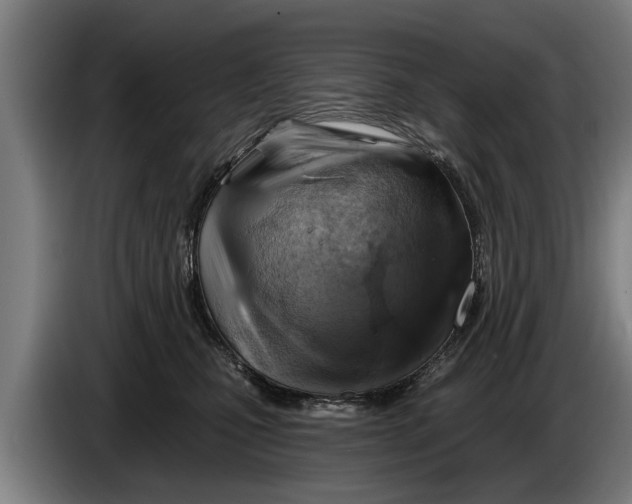 X0000086320471200704202025