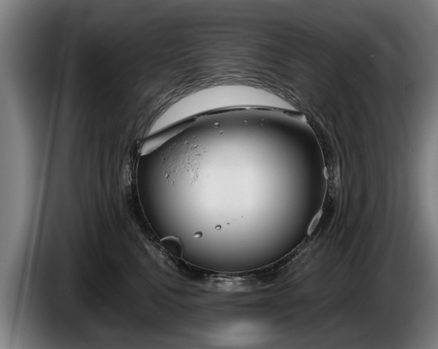 X0000086320472200704202025