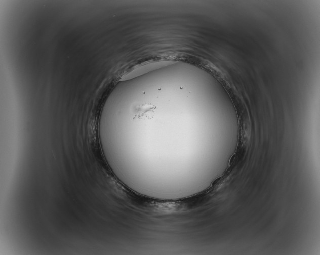 X0000086320473200704202025