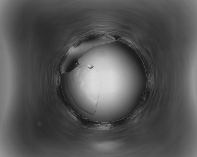 X0000086320474200704202025