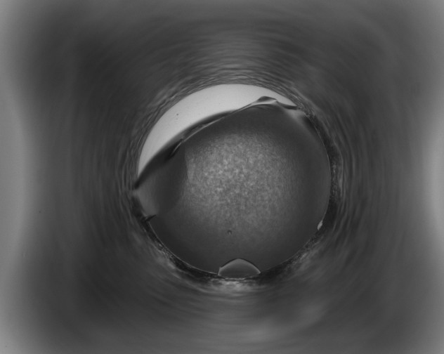 X0000086320475200704202025