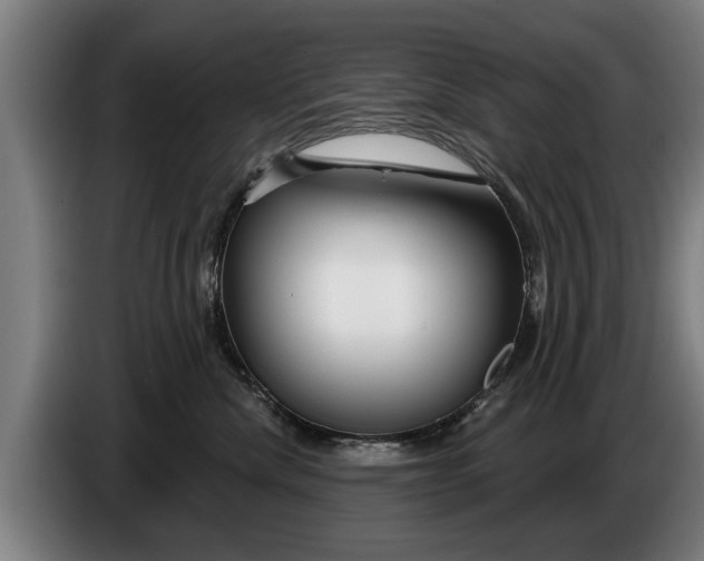 X0000086320476200704202025