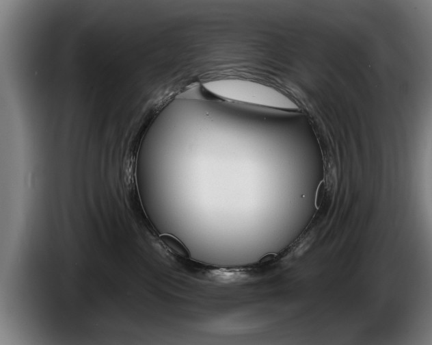 X0000086320477200704202025