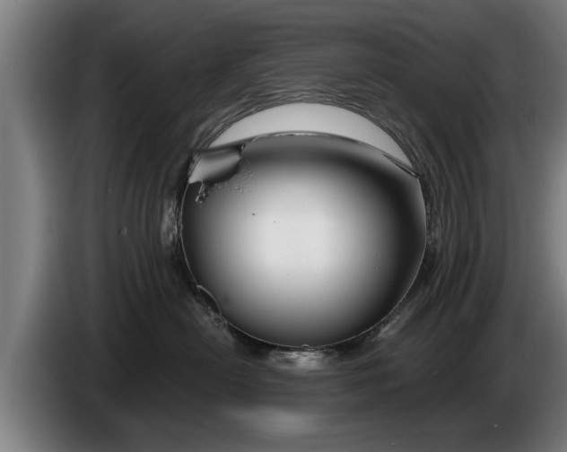 X0000086320478200704202025