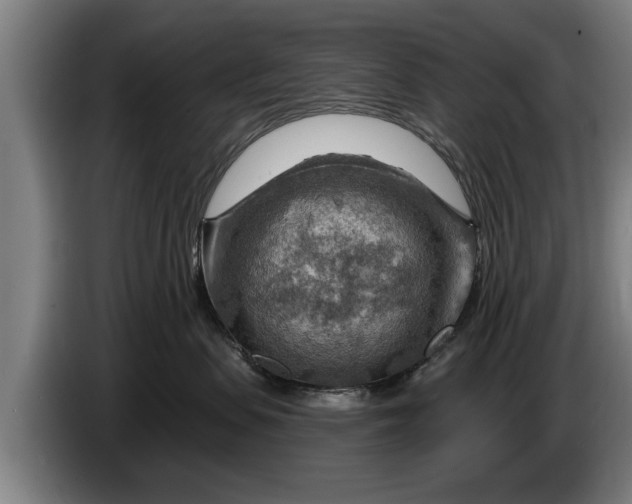 X0000086320479200704202025