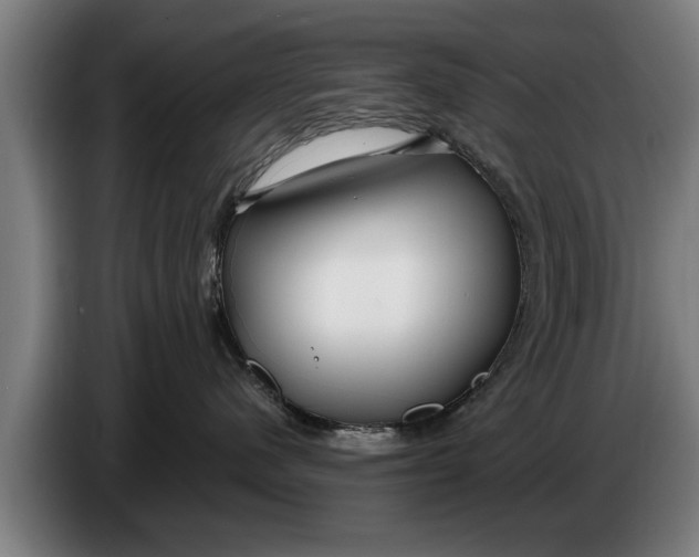 X0000086320480200704202025