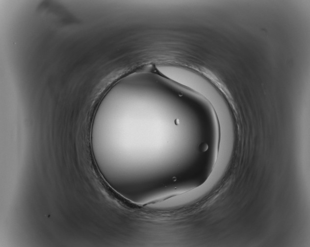 X0000086320481200704202025