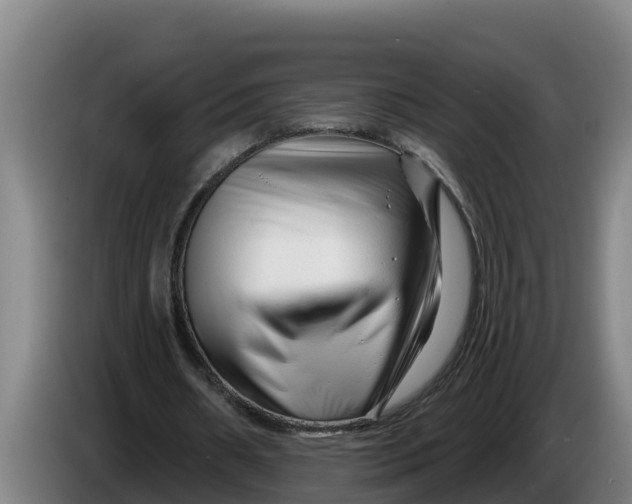 X0000086320482200704202025