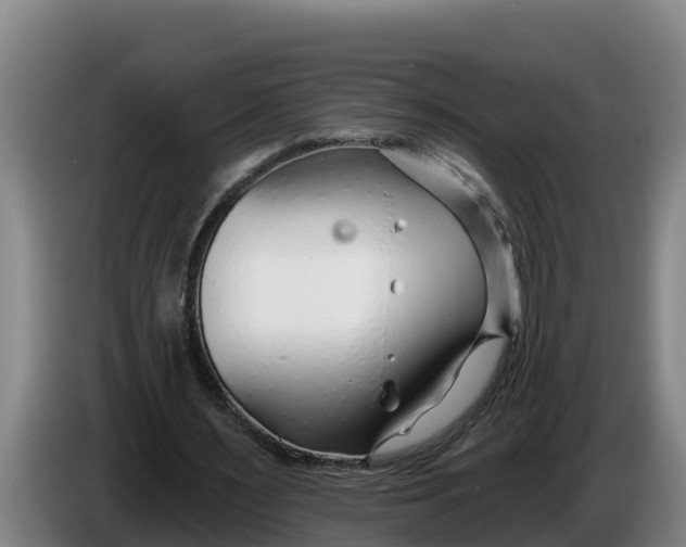 X0000086320483200704202025