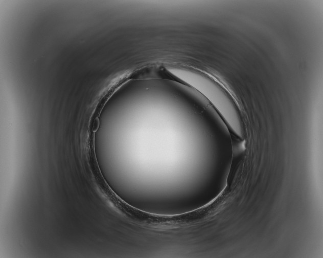 X0000086320485200704202025