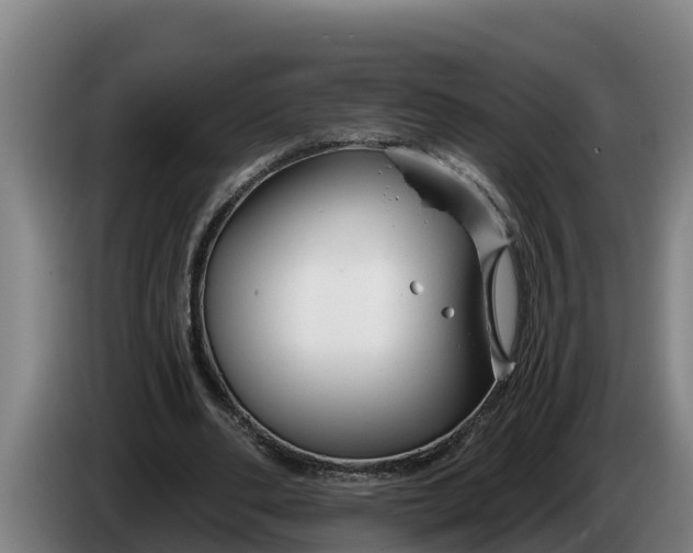 X0000086320486200704202025