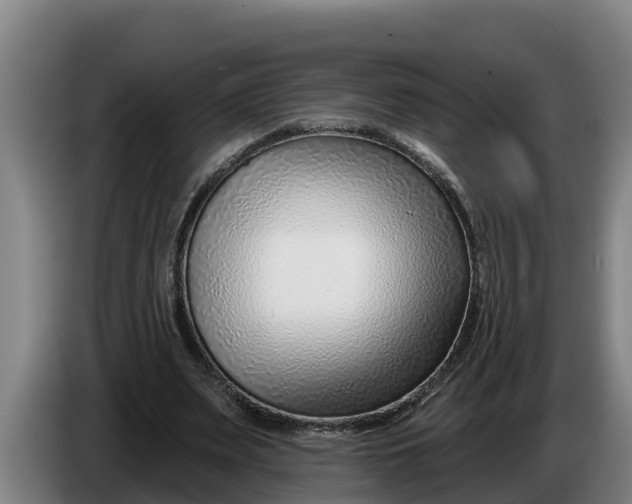 X0000086320487200704202025