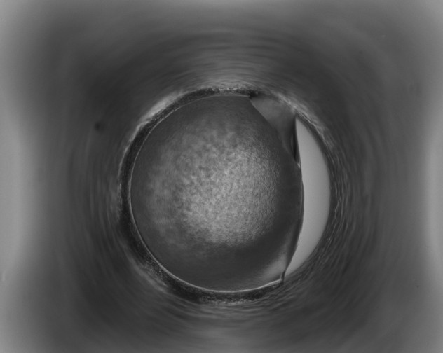 X0000086320488200704202025