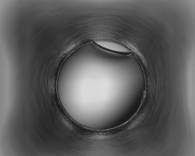 X0000086320489200704202025