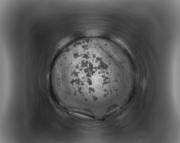 X0000086320491200704202025