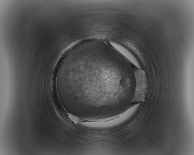 X0000086320492200704202025