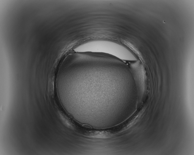 X0000086320493200704202025