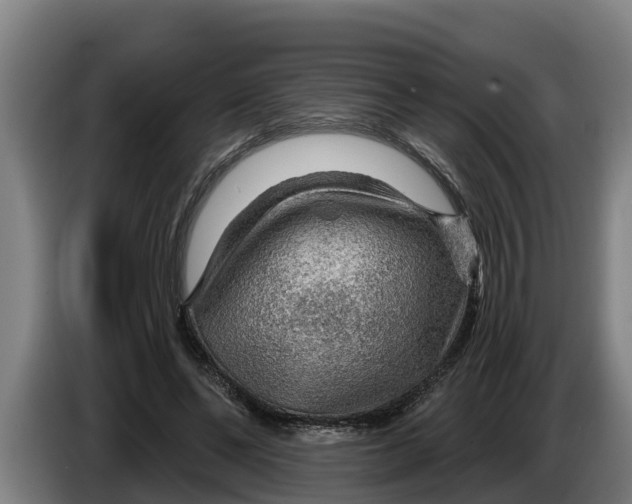 X0000086320494200704202025