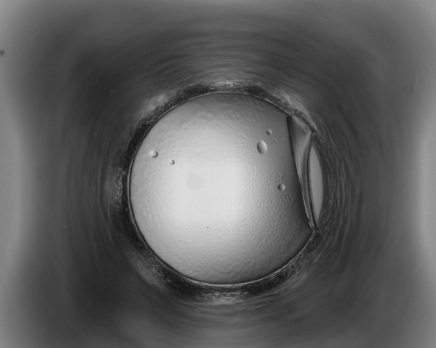 X0000086320495200704202025