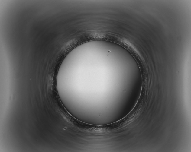 X0000086320497200704202025