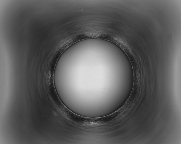 X0000086320498200704202025