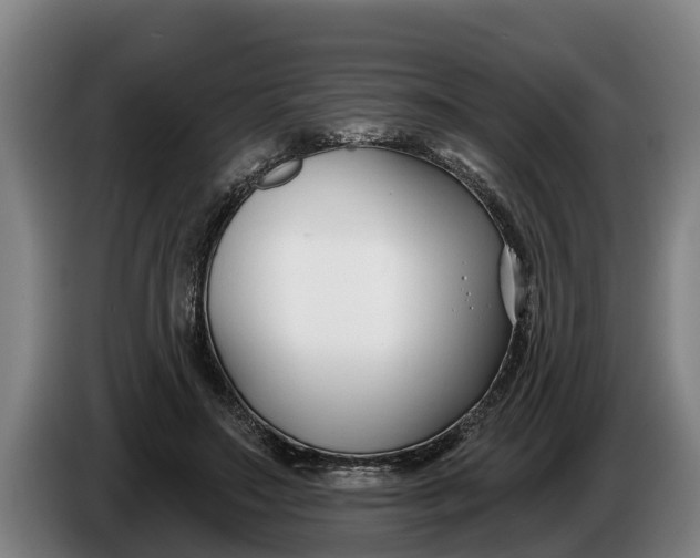 X0000086320499200704202025