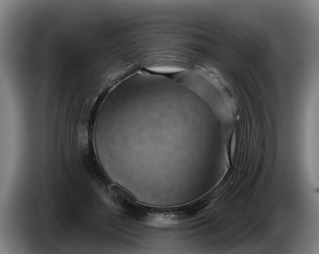 X0000086320500200704202024