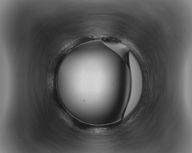 X0000086320501200704202024