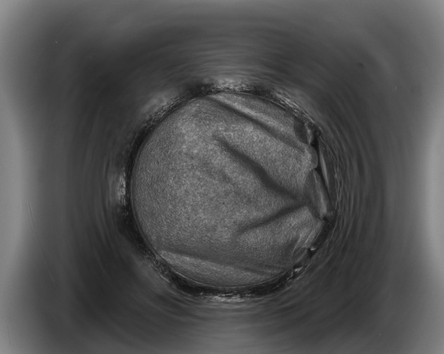 X0000086320502200704202024