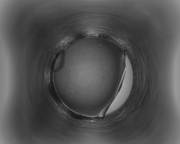 X0000086320504200704202024