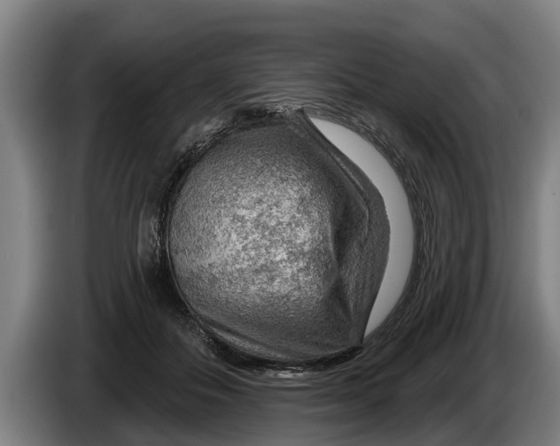 X0000086320506200704202024