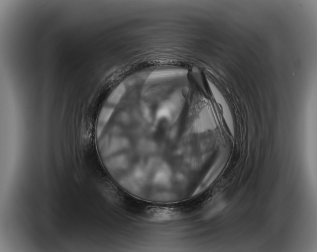 X0000086320507200704202024