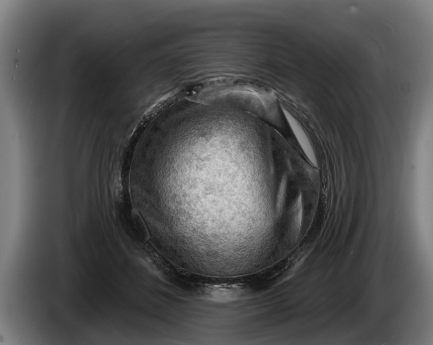 X0000086320508200704202024