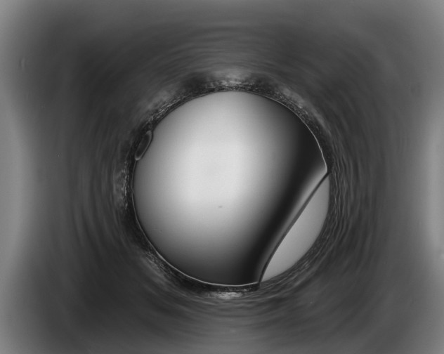 X0000086320509200704202024