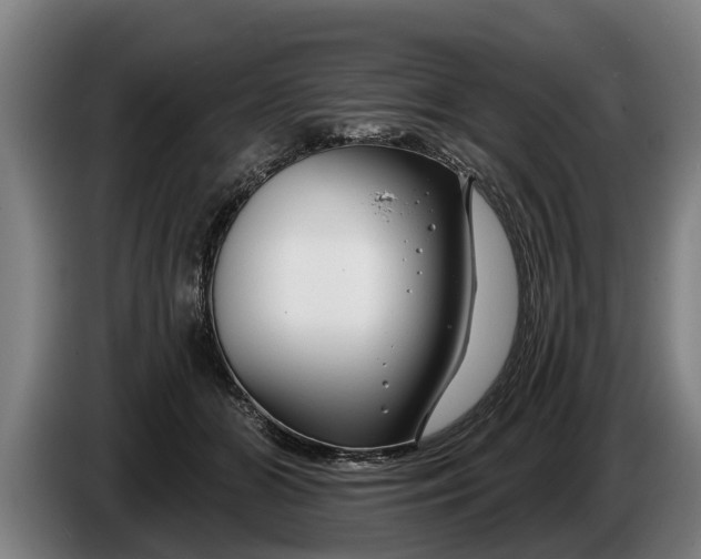 X0000086320510200704202024